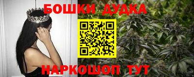 PSILOCYBIN Балахна